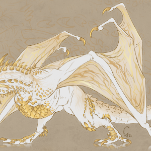 Moth