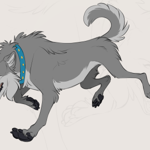 SilverHuskey